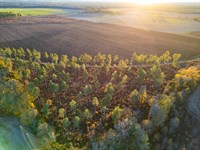 Kinchafoonee Creek Irrigated Farm : Smithville : Lee County : Georgia