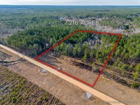 Lot 2, Lanes Creek Farms : Brooklet : Bulloch County : Georgia