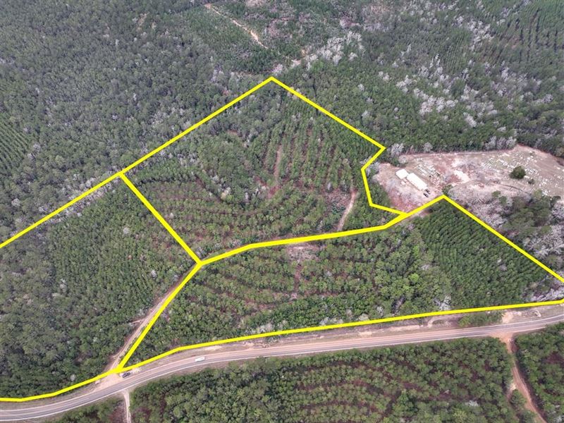 11 Acres, T-2, County Road 1019 : Newton : Newton County : Texas