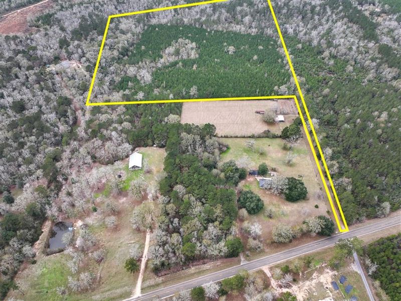 40 Acres, FM 252, 04910 : Kirbyville : Jasper County : Texas