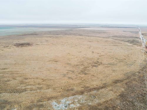 Texas and New Mexico Land Auction : Dora : Roosevelt County : New Mexico