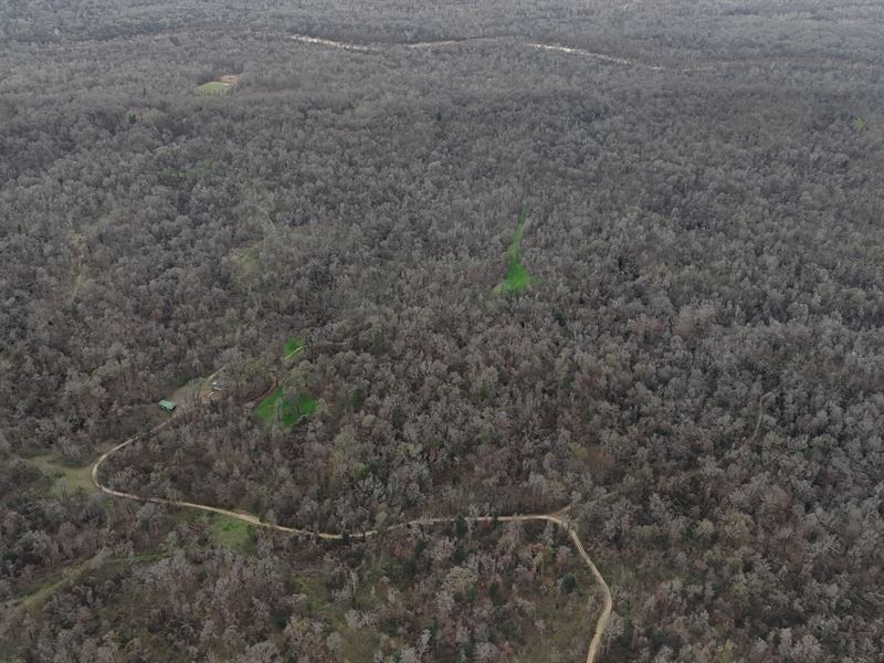 Greenwood Parks 2313, Claiborne Co : Port Gibson : Claiborne County : Mississippi