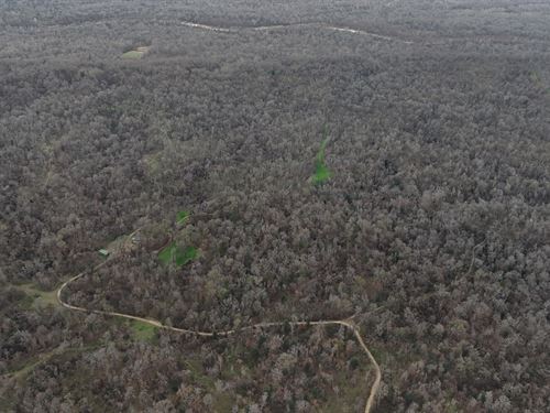 Greenwood Parks 2313, Claiborne Co : Port Gibson : Claiborne County : Mississippi