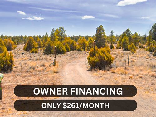 Beautiful 5 Acre Off-Grid Lot : Ramah : Cibola County : New Mexico