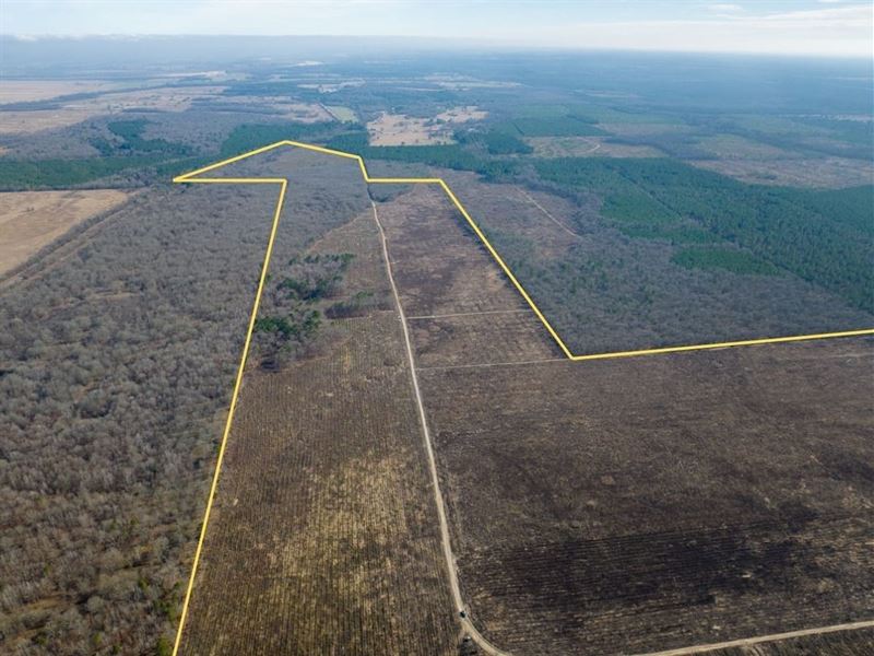 502 Acres, FM 195, 3872 : Bagwell : Red River County : Texas