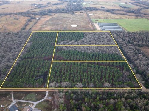16 Acres, T-4, County Road 4302 : De Kalb : Bowie County : Texas