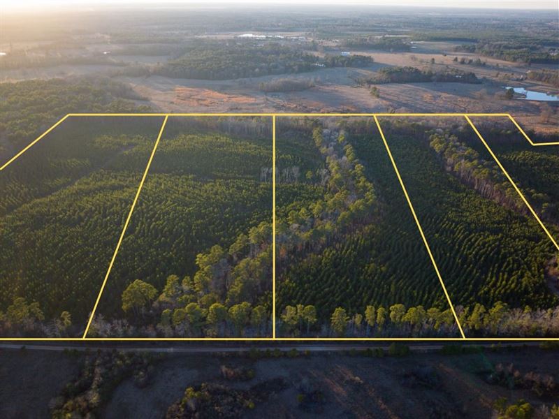 23 Acres, T-3, County Road 4415 : Annona : Red River County : Texas