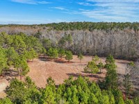 261 Acres, Prime Hunting / Family : Tuskegee : Macon County : Alabama
