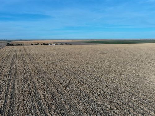 Western Perkins Cty Dryland Auction : Venango : Perkins County : Nebraska