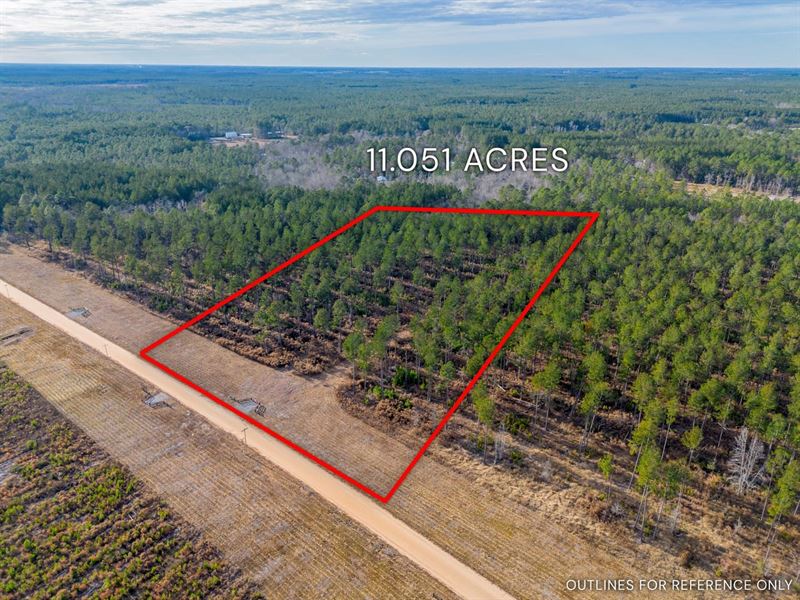 Lot 4, Lanes Creek Farms : Brooklet : Bulloch County : Georgia