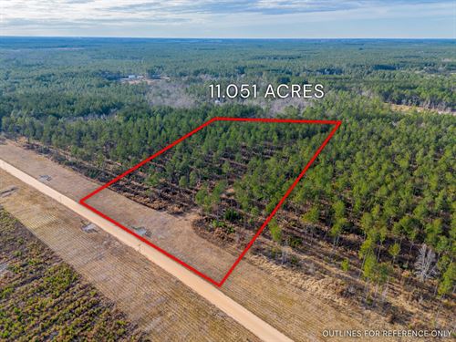 Lot 4, Lanes Creek Farms : Brooklet : Bulloch County : Georgia