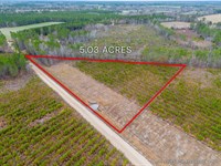Lot 12, Lanes Creek Farms : Brooklet : Bulloch County : Georgia