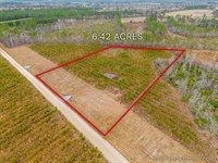 Lot 13, Lanes Creek Farms : Brooklet : Bulloch County : Georgia