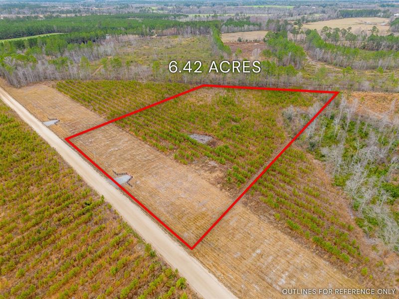 Lot 13, Lanes Creek Farms : Brooklet : Bulloch County : Georgia