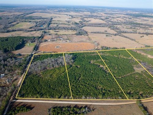 20 Acres, T-2, County Road 4245 : De Kalb : Bowie County : Texas