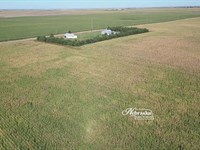 Elsie Non-Irrigated Farm : Elsie : Perkins County : Nebraska