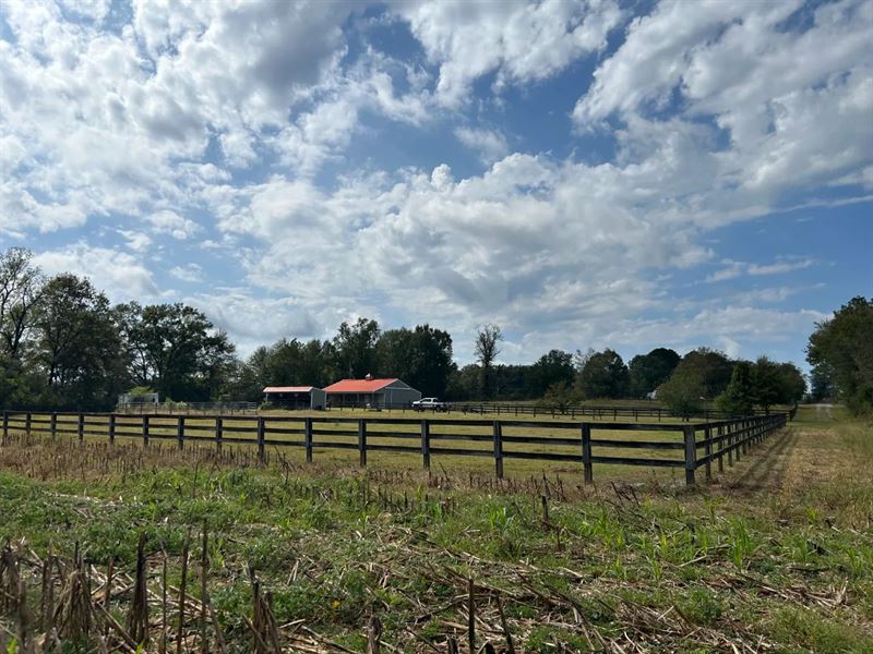 243.3 Acres in Montgomery County : Duck Hill : Montgomery County : Mississippi