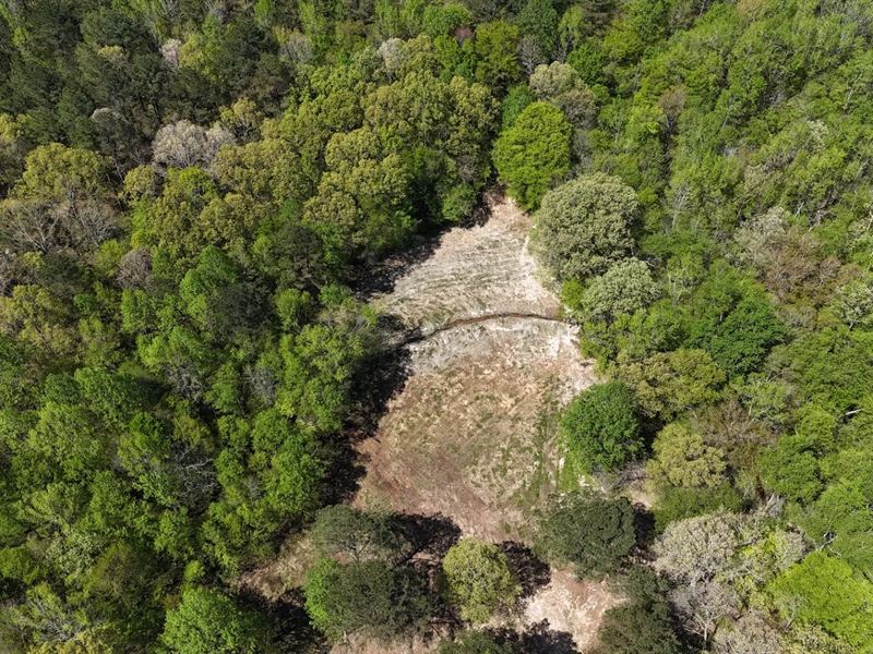 35.3 Acres in Hardeman County, TN : Toone : Hardeman County : Tennessee