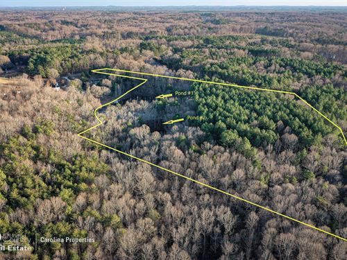 12.5 Acres with Two Ponds & Timber : Salisbury : Rowan County : North Carolina
