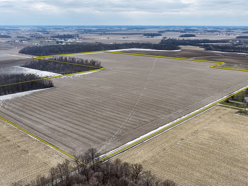 Land Auction, Adams Co Indiana : Monroe : Adams County : Indiana