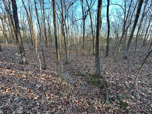 7.81 Acres Tract 5 in Polk County : Mena : Polk County : Arkansas