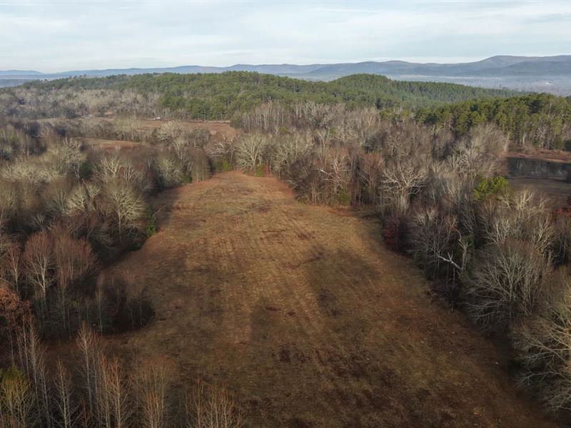 13.93 Acres Tract 6 in Montgomery : Oden : Montgomery County : Arkansas
