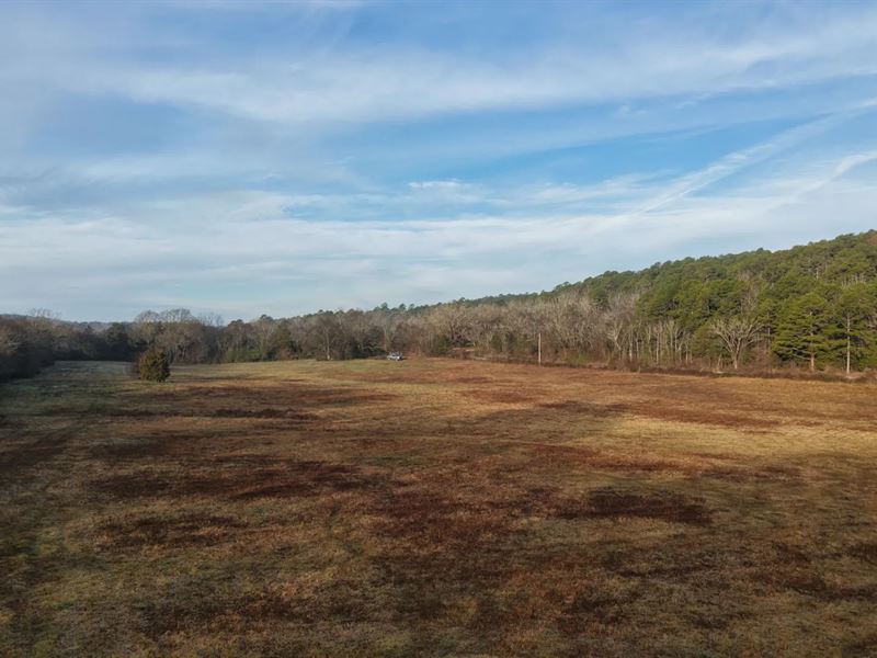 21.02 Acres Tract 8 in Montgomery : Oden : Montgomery County : Arkansas