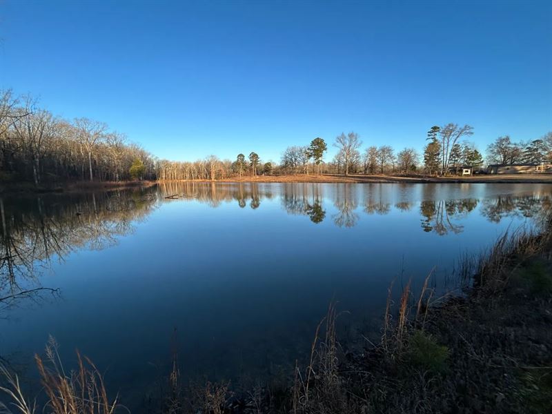 9.62 Acres Tract 6 in Polk County : Mena : Polk County : Arkansas