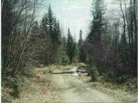 Tbd Off Ned Lake Rd Mls 1060213 : Michigamme : Baraga County : Michigan