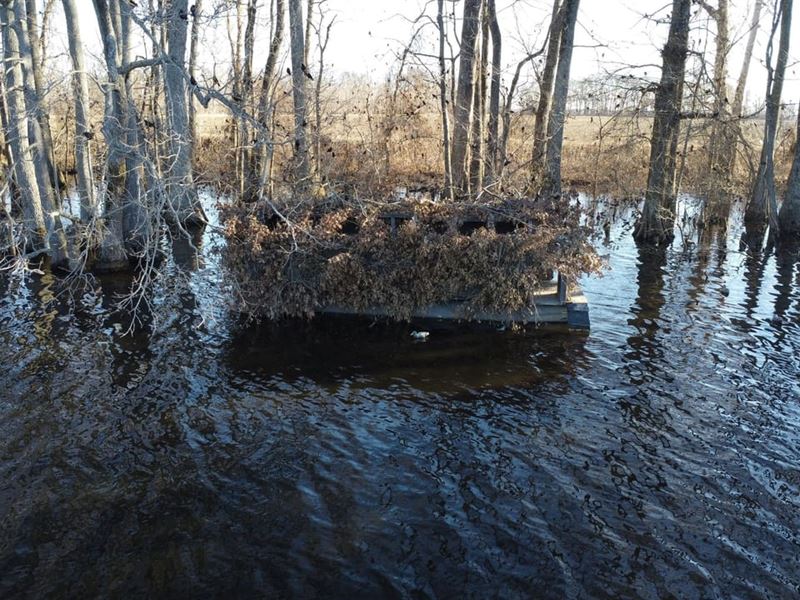 Kiethley Lake 44.52 : Widener : Saint Francis County : Arkansas