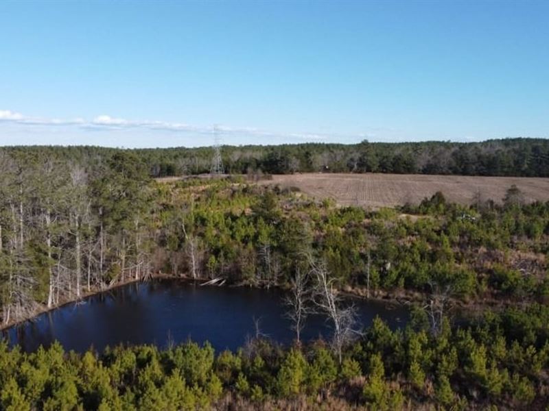 Chinook Tract : Blair : Fairfield County : South Carolina