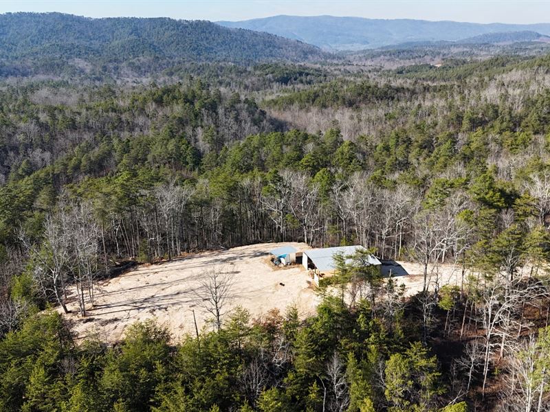 Crews Mountain Tract 70 Ac : Borden Springs : Cleburne County : Alabama