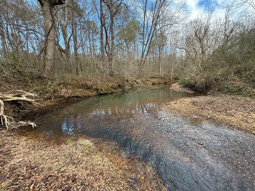 104 Acres Hunting & Timberland : Eldridge : Fayette County : Alabama