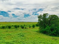 21+ Acres Near San Antonio, TX : D'hanis : Medina County : Texas