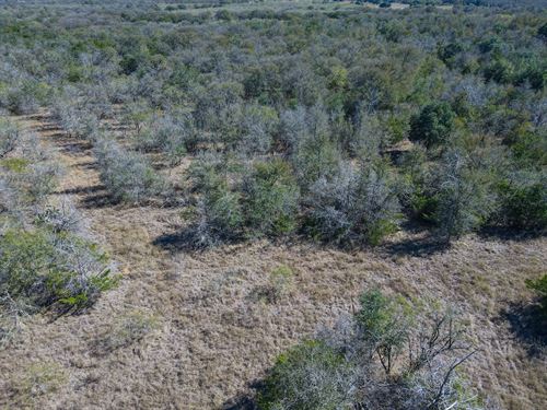 21 Acres in Bastrop County, TX : Watterson : Bastrop County : Texas