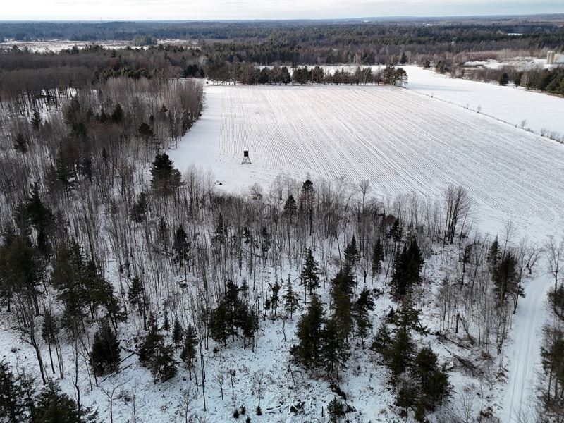 160 Acres, Portage County : Dewey : Portage County : Wisconsin