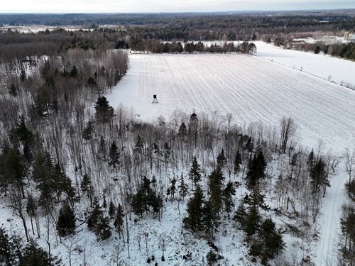 160 Acres, Portage County : Dewey : Portage County : Wisconsin