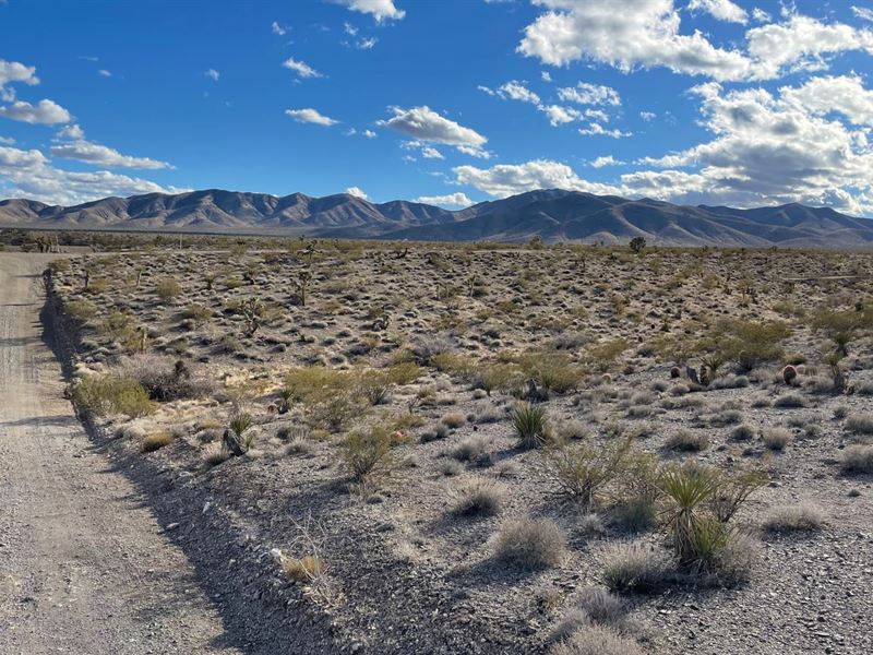 6.06 Acres in Mohave Co AZ : Meadview : Mohave County : Arizona
