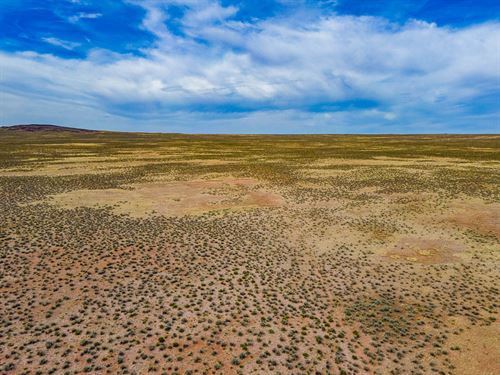 10 Acres Vs. Your Cramped Apartment : Chambers : Apache County : Arizona
