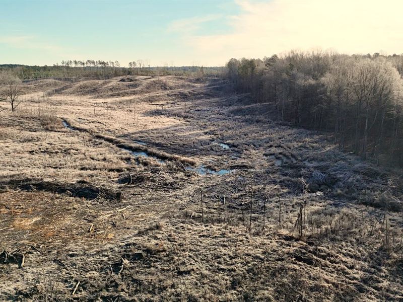 30 Acres in Prentiss County, MS : Booneville : Prentiss County : Mississippi