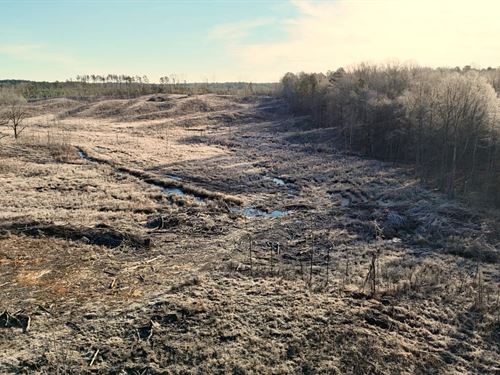 30 Acres in Prentiss County, MS : Booneville : Prentiss County : Mississippi