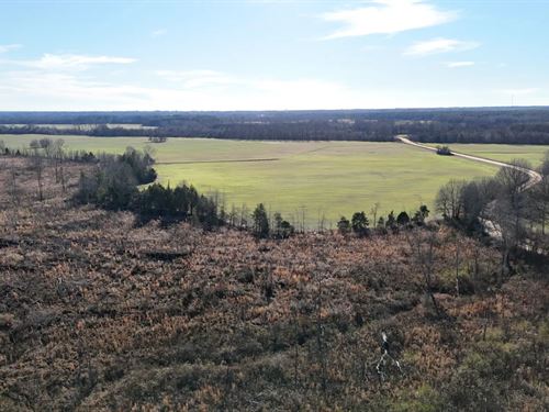 94.69 Acres in Prentiss County, MS : Booneville : Prentiss County : Mississippi