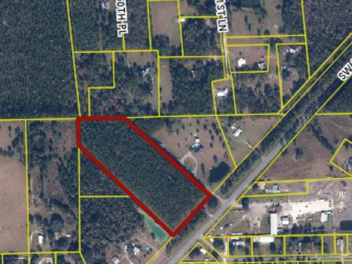 Beautiful 9.82 Acre Property : Lake Butler : Union County : Florida