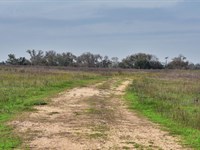 11 Acres Near Austin, TX : Kingsbury : Guadalupe County : Texas