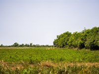 11.08 Acres Near Houston, Texas : Eagle Lake : Colorado County : Texas