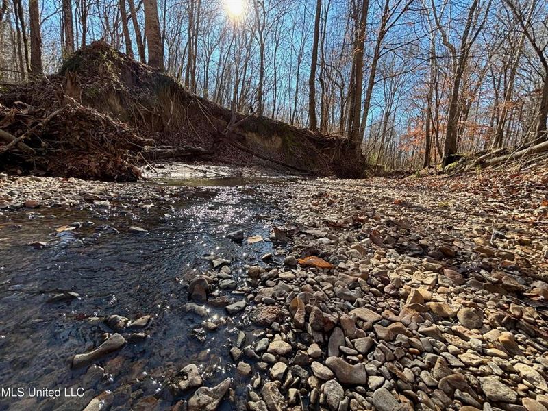 116 Acres with 1600 sq ft Cabin : Yazoo City : Yazoo County : Mississippi