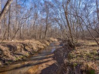 Lower Harmony Road Tract : Eatonton : Putnam County : Georgia