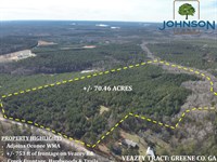 Veazey Tract : White Plains : Greene County : Georgia