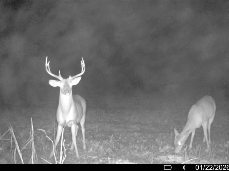 Crowley's Ridge Farm, 80 : Widener : Saint Francis County : Arkansas