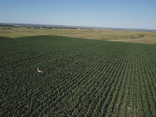 457 Acres, River Frontage, Tillable : Mobridge : Walworth County : South Dakota